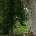מלון Schloss Schoenau *