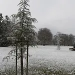 Schloss Schoenau מלון Schönau an der Triesting