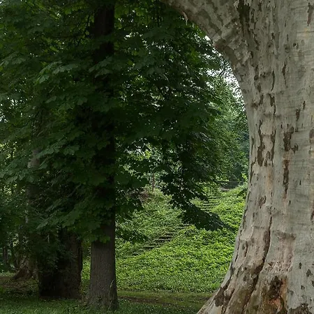 Hotel Schloss Schoenau *