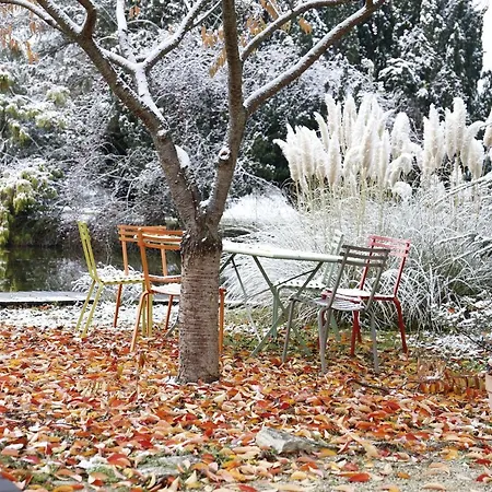 Schloss Schoenau Hotel Schönau an der Triesting