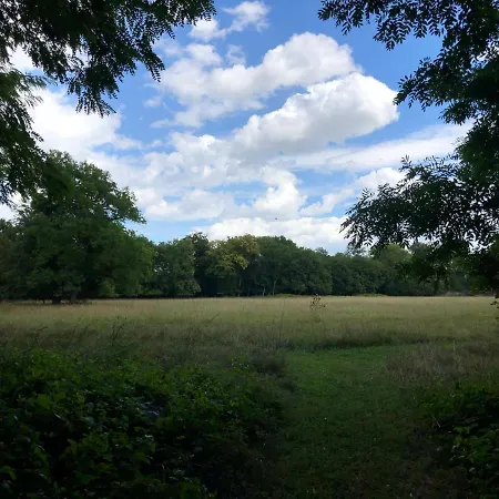 Hotel Schloss Schoenau