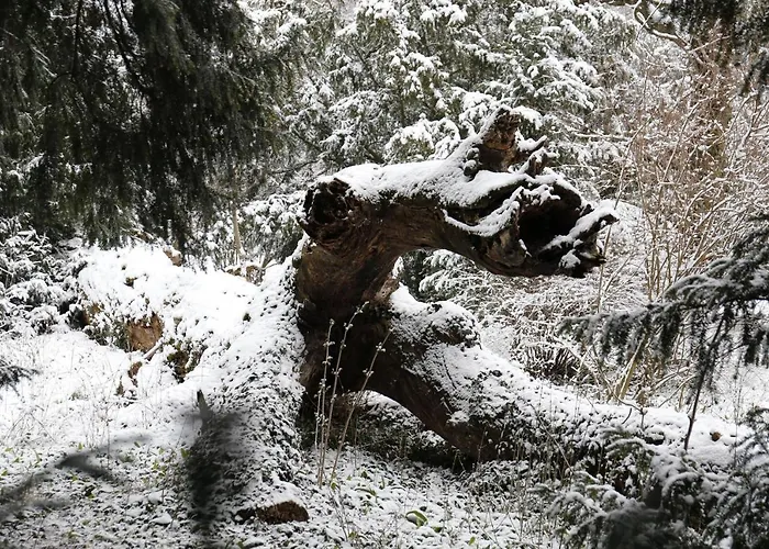 Schloss Schoenau Schönau an der Triesting