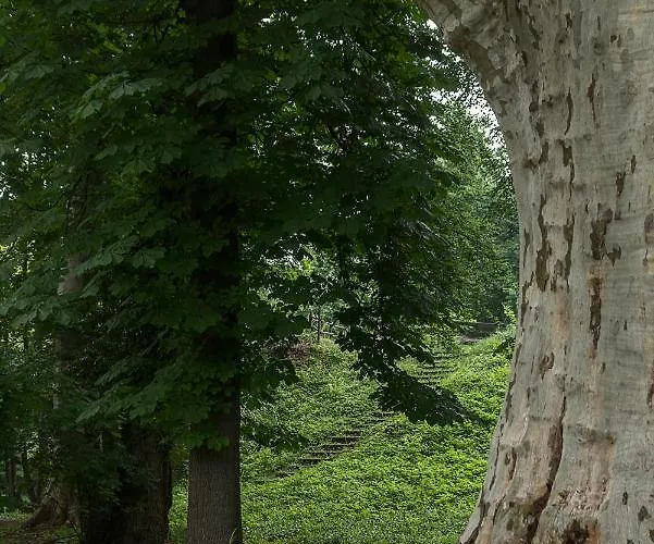 Hotel Schloss Schoenau *