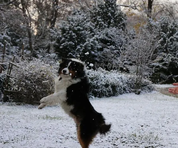 Hotel Schloss Schoenau