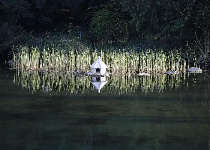 Schloss Schoenau * Schoenau an der Triesting