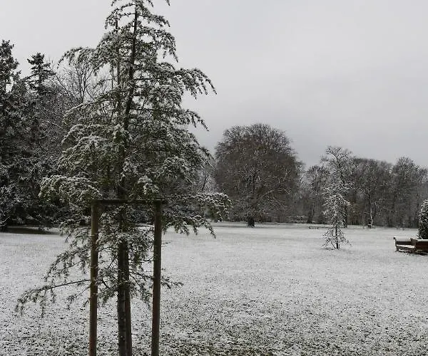 Schloss Schoenau Hotel Schönau an der Triesting