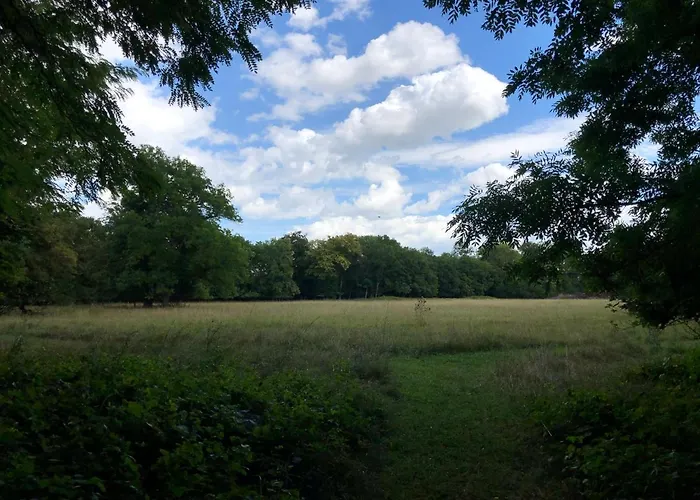 Hotel Schloss Schoenau