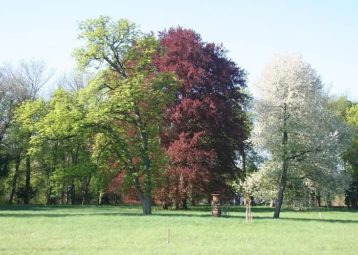 Schloss Schoenau Schönau an der Triesting